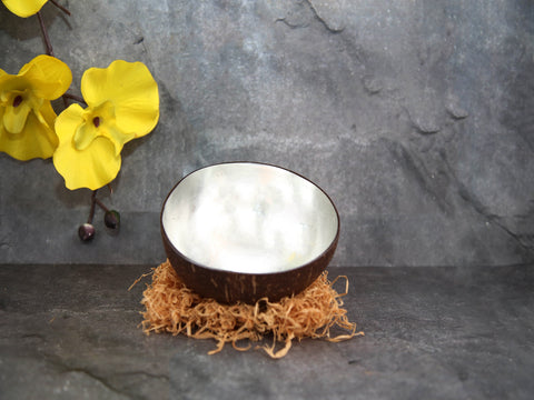 Coconut bowl w/silver lacquer