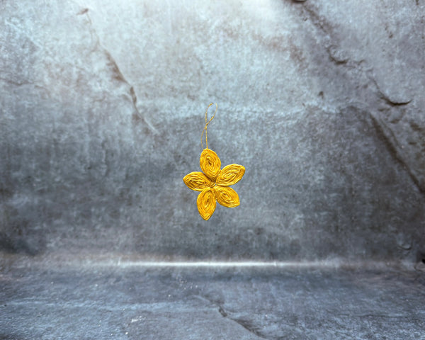 Christmas star