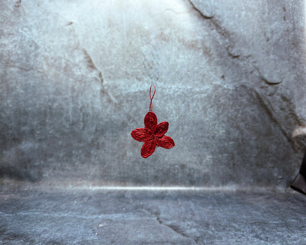 Christmas star
