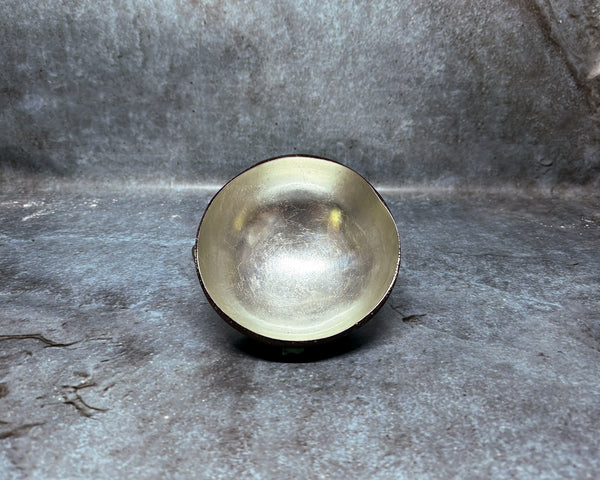 Coconut bowl w/silver lacquer