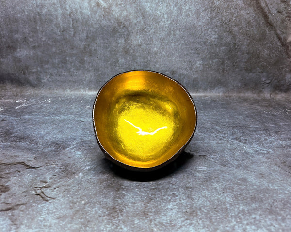 Cococnut shell gold inside