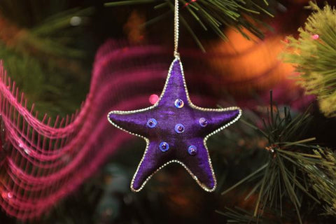 Ornament - Purple Star