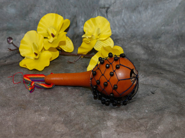 Maraca gourd with seeds