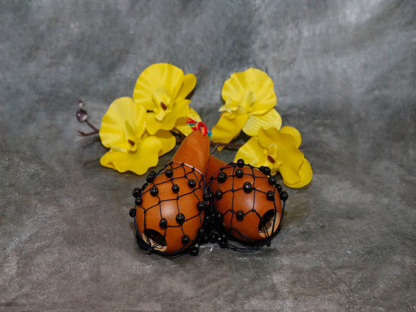 Maraca gourd set with seeds