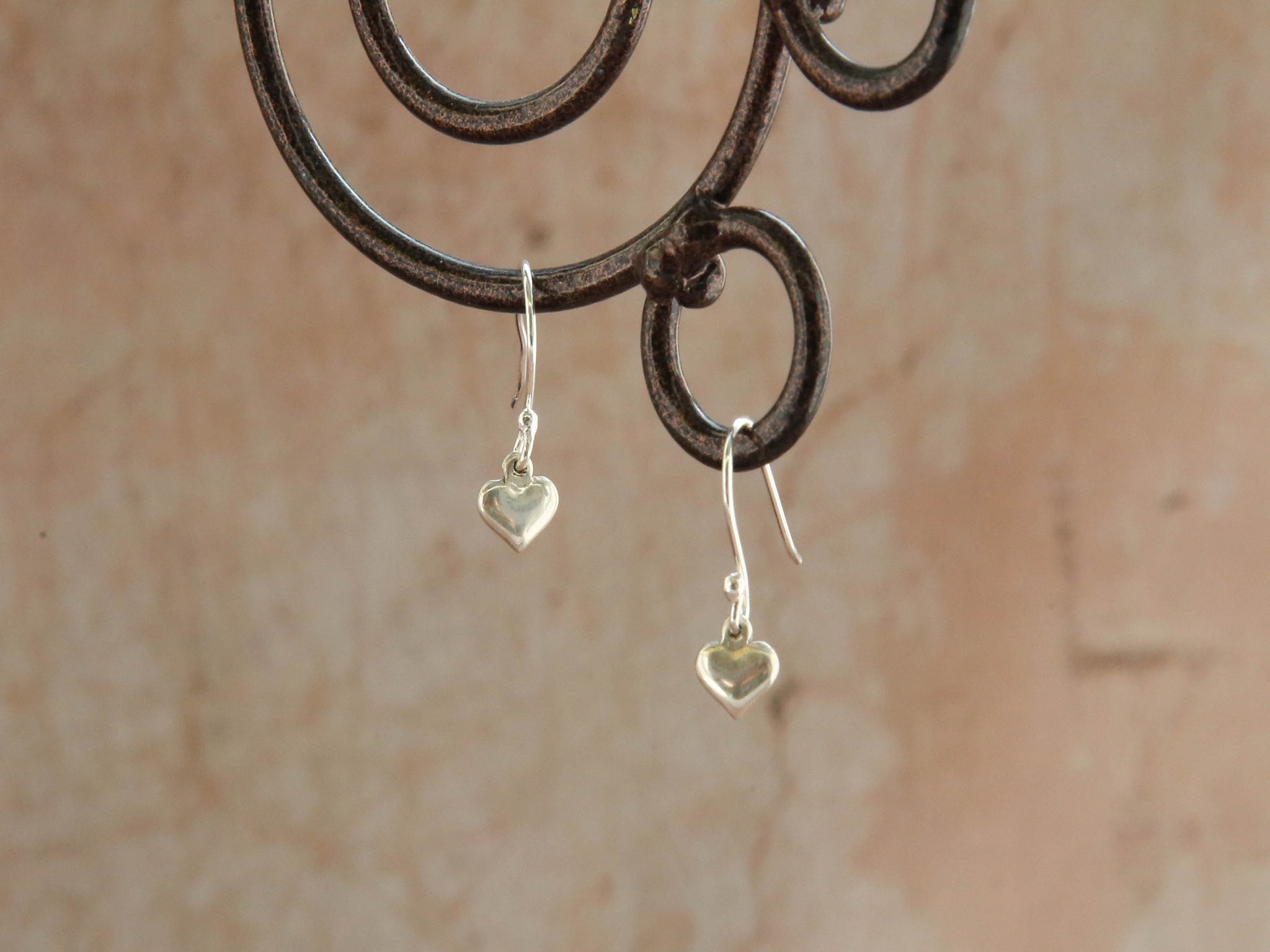 Earrings-Courageous Heart