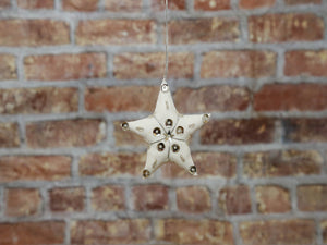Star with sequins white'L'